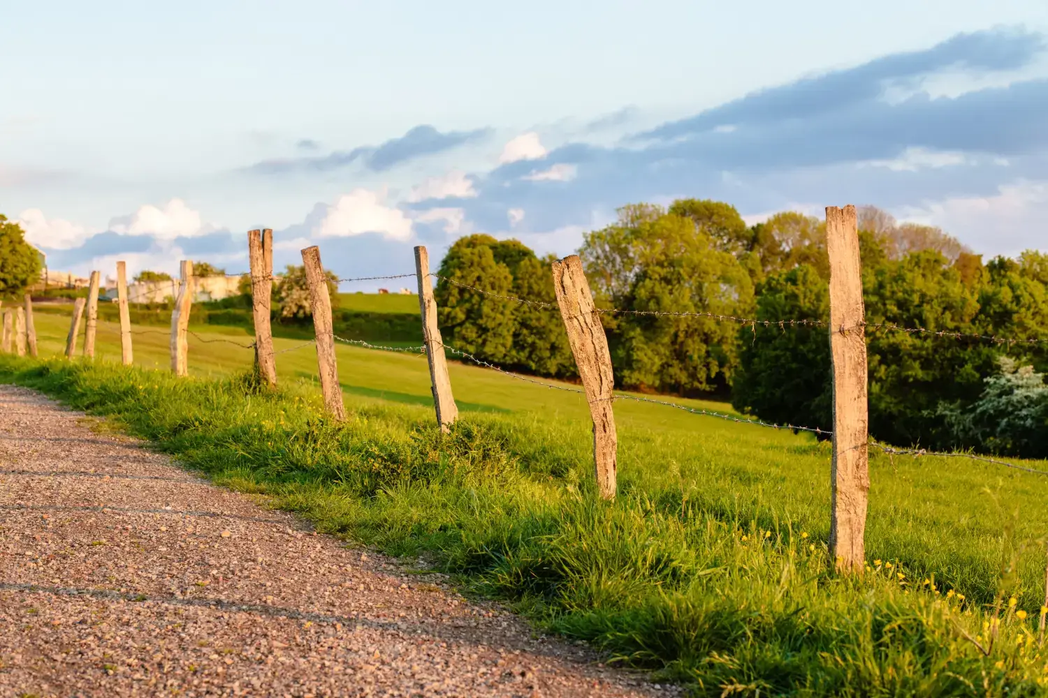 Entre les clôtures Sentinelle. Un chemin de terre longe une clôture en bois avec du fil barbelé, illustrant des solutions de clôture pratiques dans un champ verdoyant et herbeux, avec des arbres en arrière-plan, sous un ciel partiellement nuageux. Installation de clôtures Québec