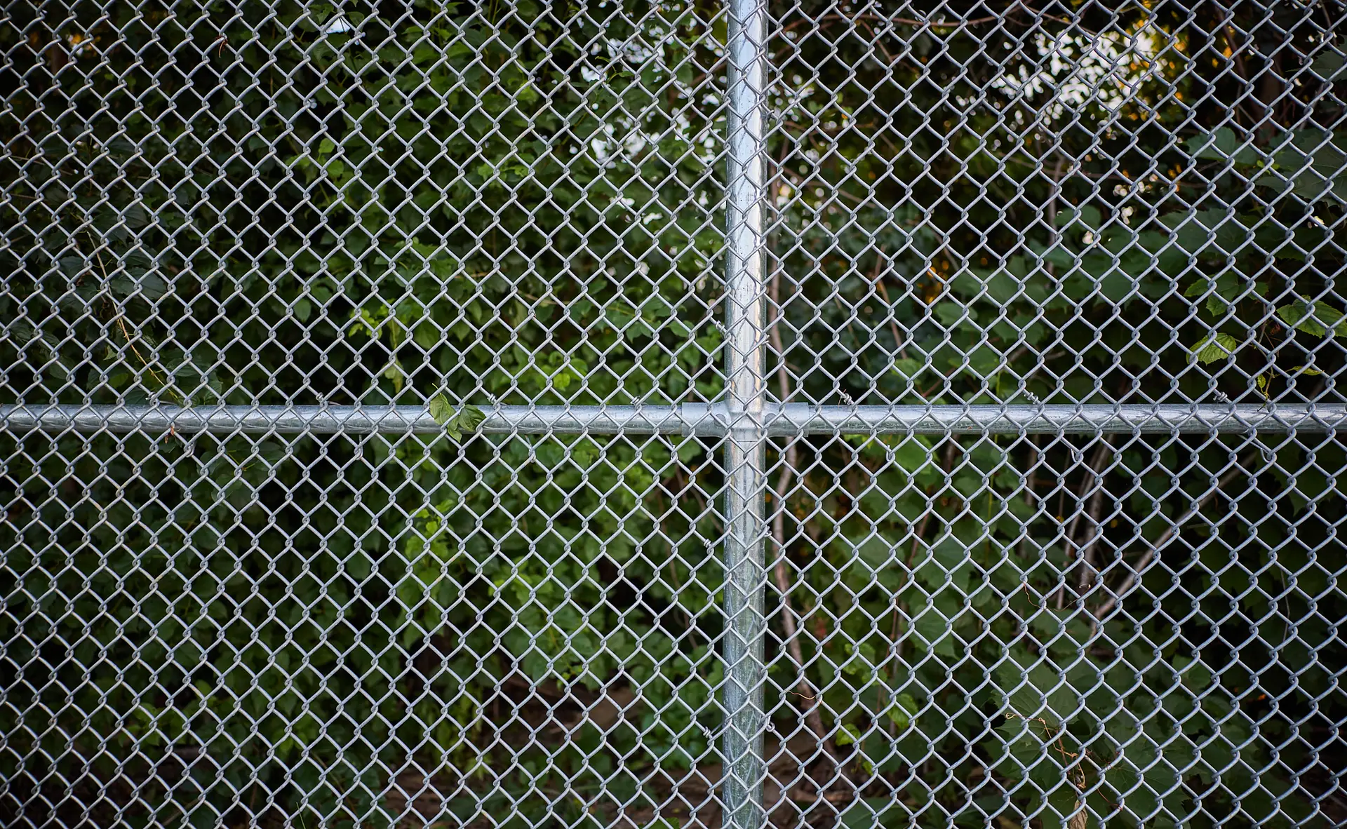 Inter Clôtures Sentinelle Chain-link fence with a metal crossbar, with green foliage and trees visible in the background. Fence Installation Quebec