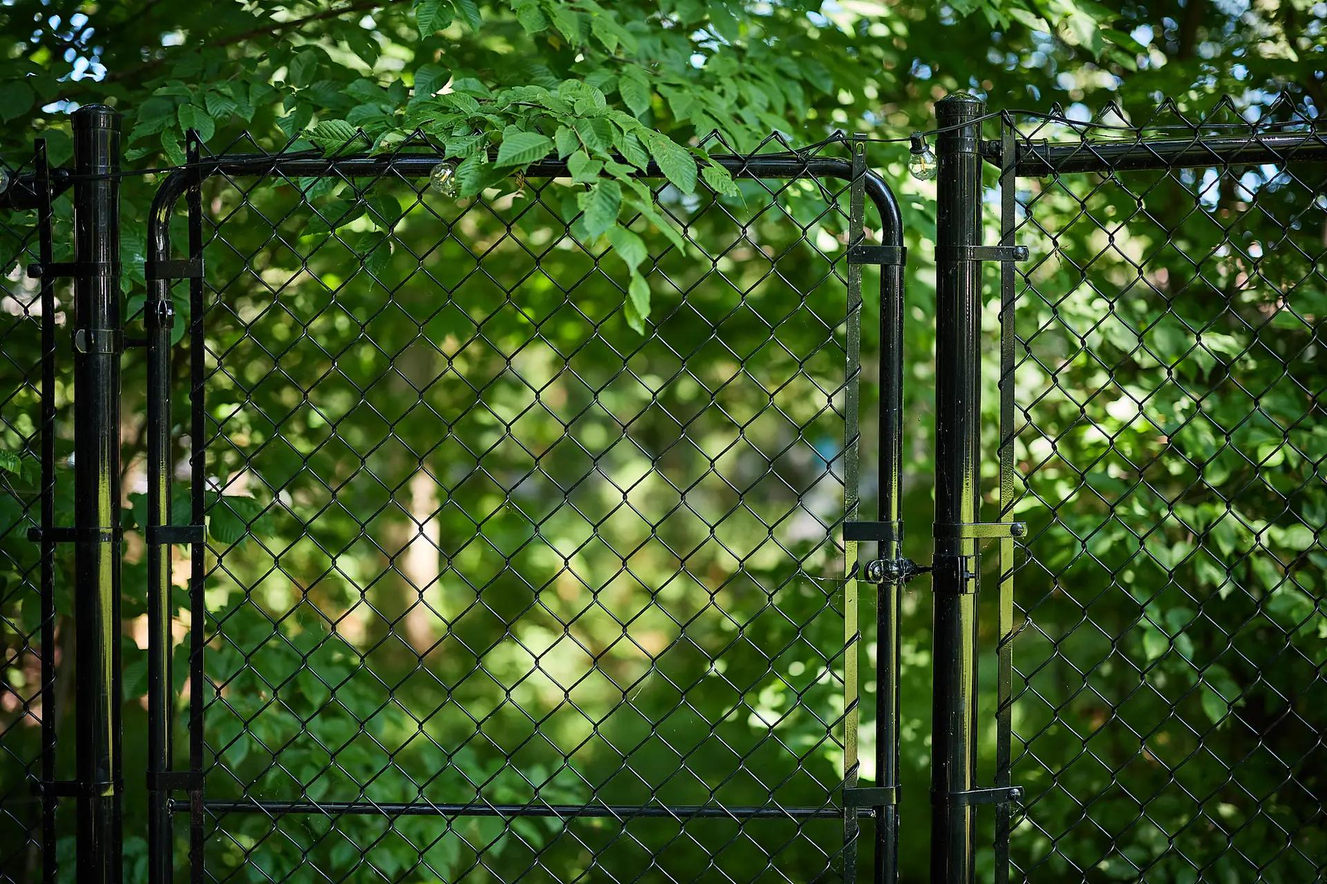 Inter Clôtures Sentinelle A black chain-link fence with a closed gate is surrounded by dense green foliage and sunlight filtering through the leaves. Fence Installation Quebec