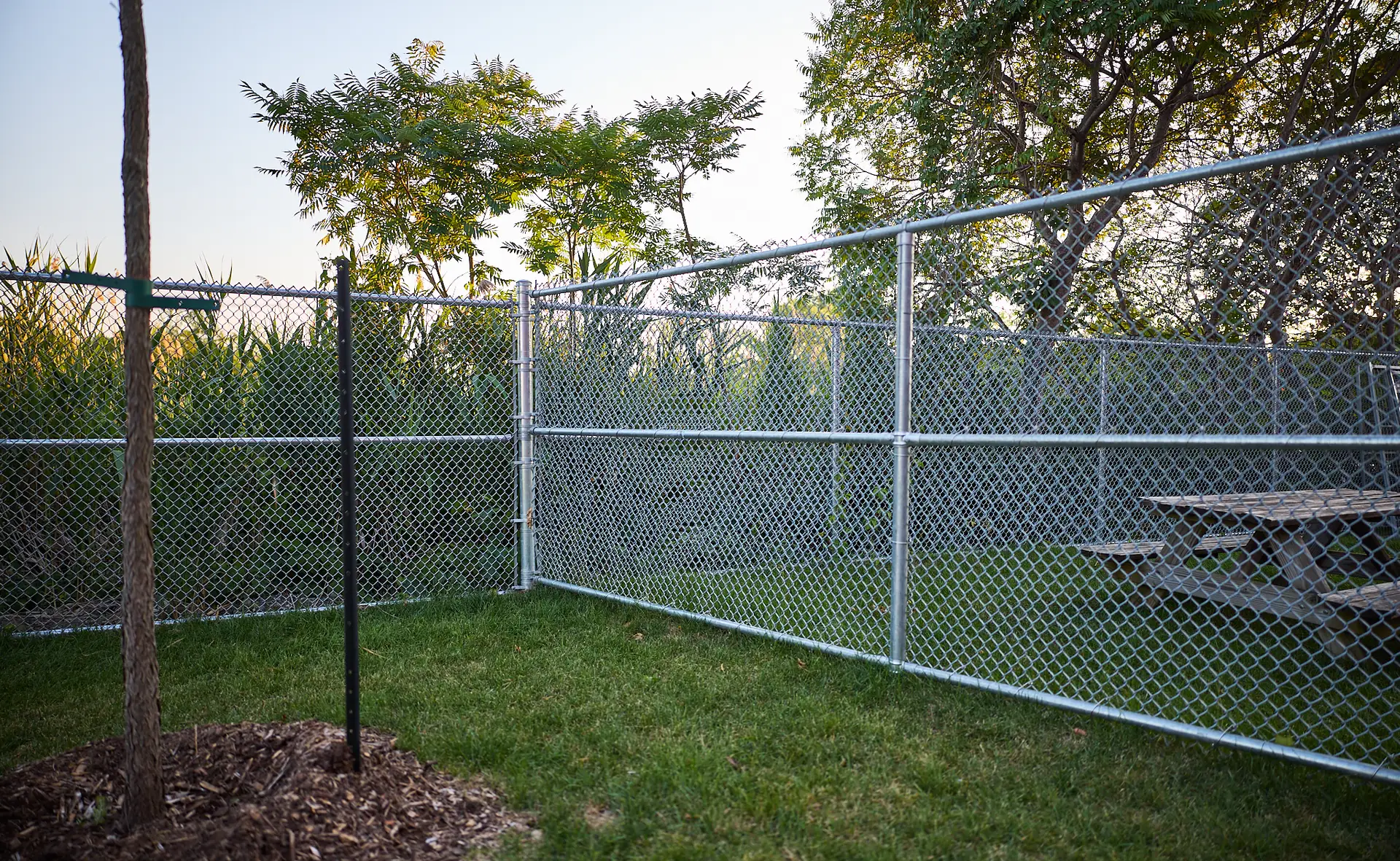 Inter Clôtures Sentinelle Fenced outdoor area with grass, a tree, and a picnic table, bordered by chain link fencing and surrounded by tall plants and trees. Fence Installation Quebec
